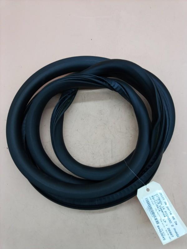 Guarnizione sportello posteriore destro CITROEN C4 PICASSO 2 PHASE 1 Gasolina - 1