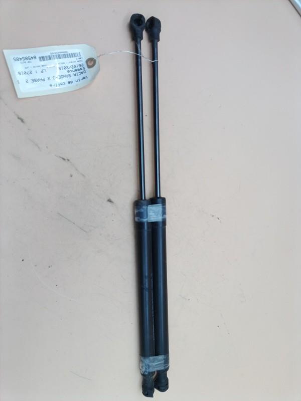Verin de coffre DACIA SANDERO 2 PHASE 2 Essence - 1
