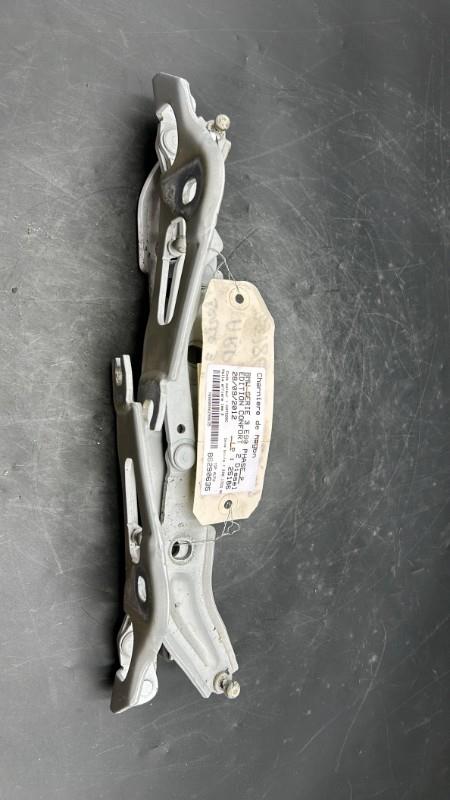 Charniere de hayon BMW SERIE 3 E90 PHASE 2 Diesel - 1