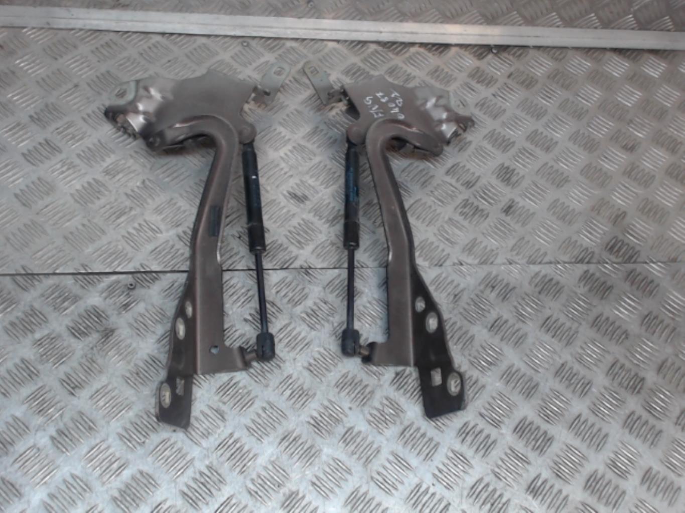Charniere de capot RENAULT SCENIC 3 PHASE 1 Diesel - 1