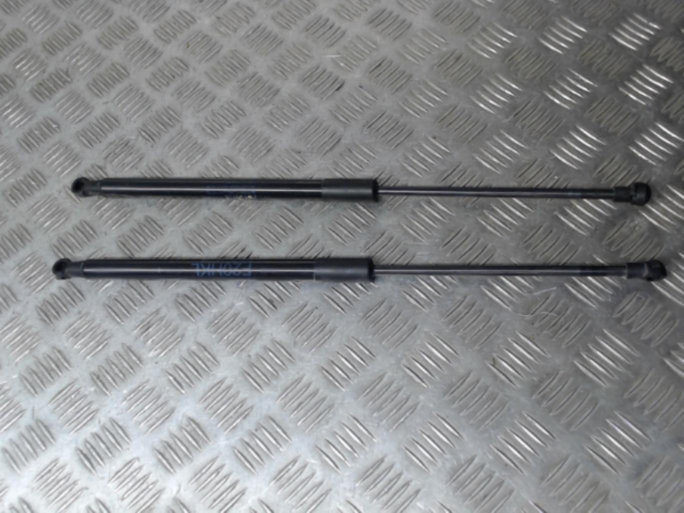 Molla a gas bagagliaio BMW SERIE 1 F20 PHASE 2 Gasolina - 1