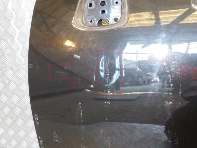 Porte avant gauche RENAULT SCENIC 3 PHASE 1 Diesel - 1