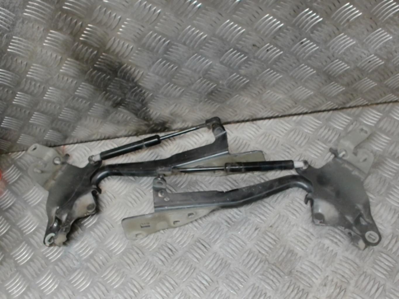 Charniere de capot RENAULT SCENIC 3 PHASE 1 Diesel - 1