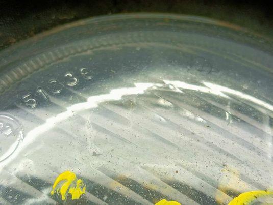 Anti brouillard droit (feux) RENAULT CLIO 2 PHASE 1  - 1