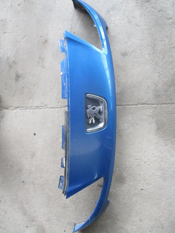 Calandre PEUGEOT 1007 Diesel - 1