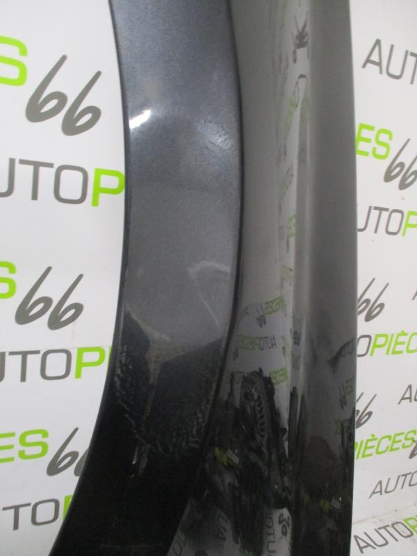 Parafango anteriore sinistro RENAULT LAGUNA 3 PHASE 1 Diésel - 1