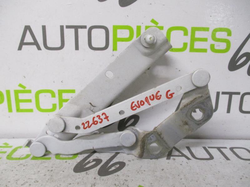 Cerniera cofano LAND ROVER RANGE ROVER 1 EVOQUE PHASE 1 Gasolina - 1