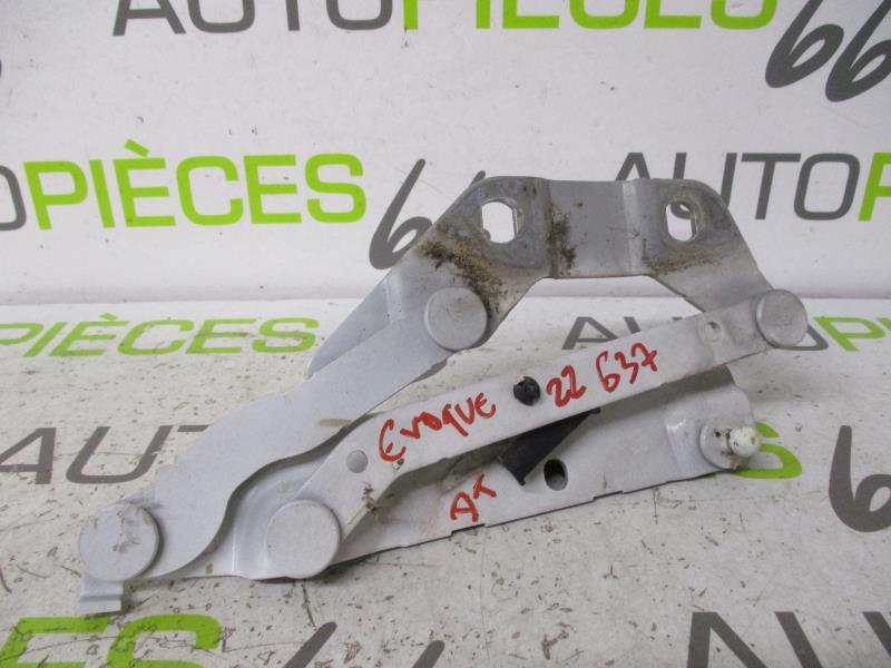 Cerniera cofano LAND ROVER RANGE ROVER 1 EVOQUE PHASE 1 Gasolina - 1