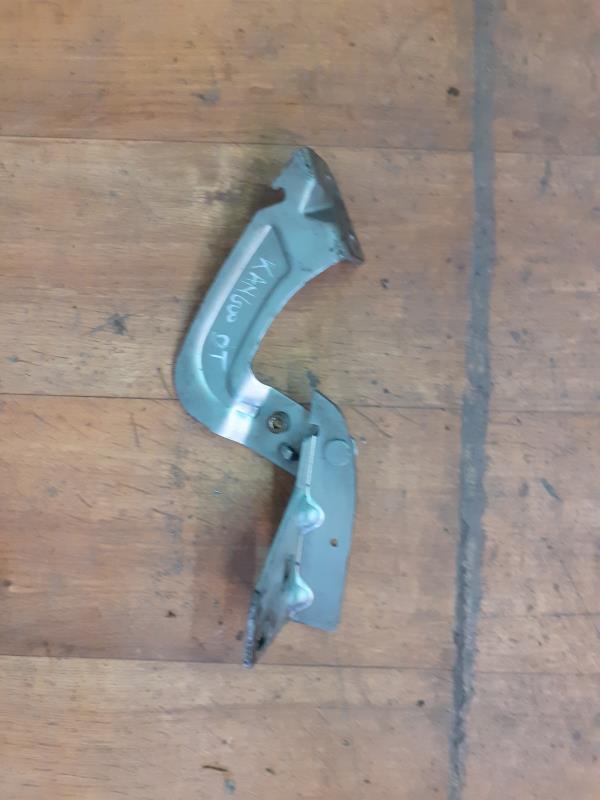 Charniere de capot RENAULT KANGOO 1 PHASE 2 Diesel - 1