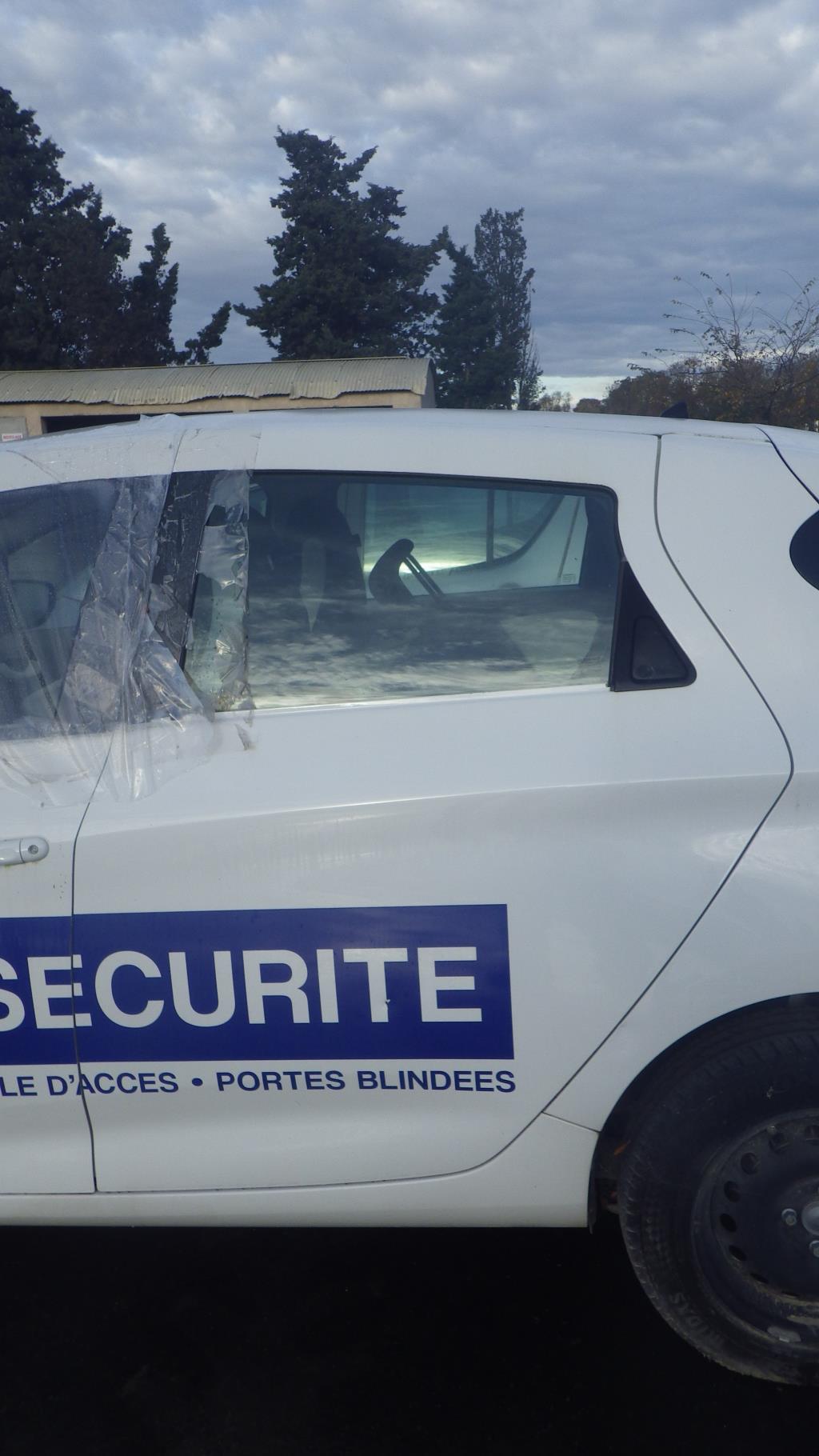 Portiera posteriore sinistra RENAULT ZOE 1  - 1
