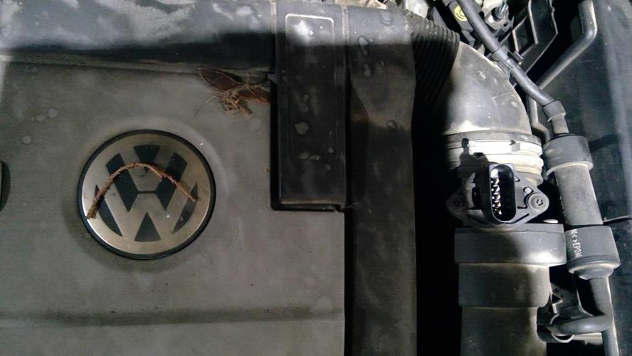 Photo de la pièce