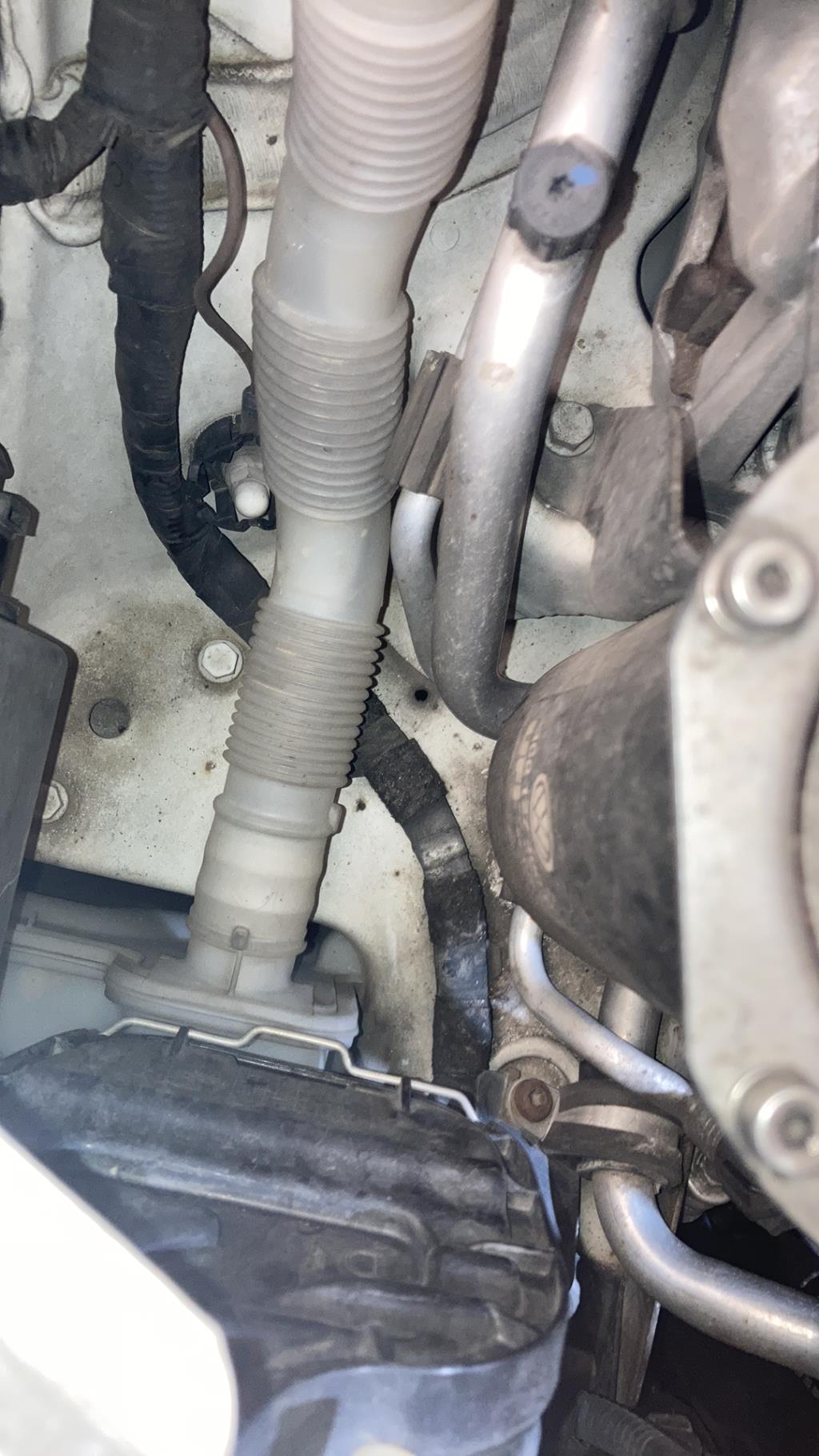 Vase de lave glace SEAT LEON 2 PHASE 2 Diesel - 1