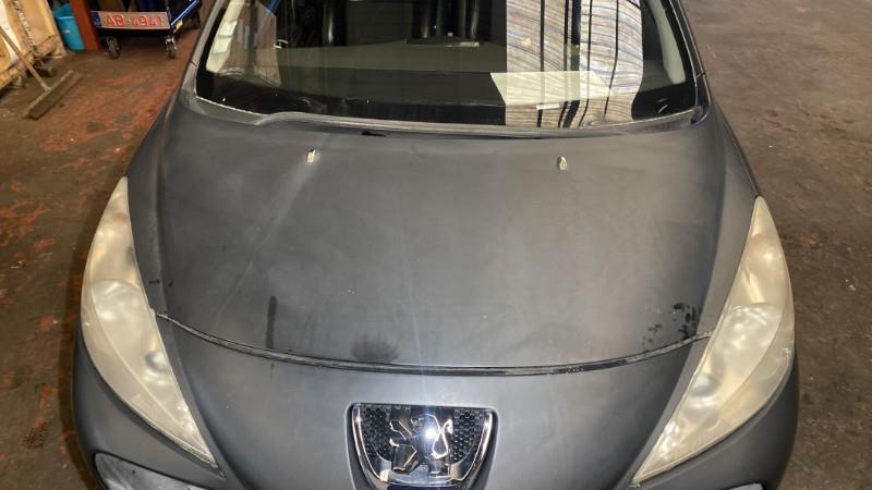 Capot PEUGEOT 207 PHASE 1 Essence - 1