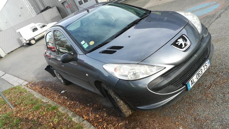 Pedale acceleratore PEUGEOT 206+ Diésel - 1