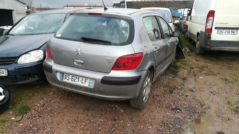 Alzacristalli elettrico posteriore sinistro PEUGEOT 307 PHASE 1 Diésel - 1