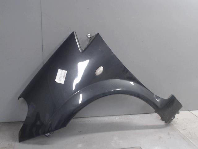 Parafango anteriore sinistro CITROEN C3 PLURIEL PHASE 1 CABRIOLET Gasolina - 1