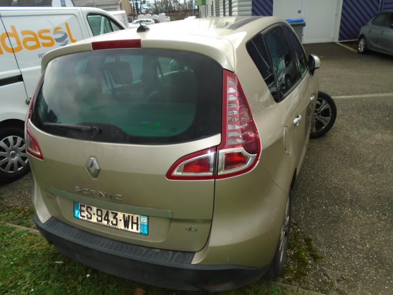 Portiera anteriore sinistra RENAULT SCENIC 3 PHASE 1 Diésel - 1