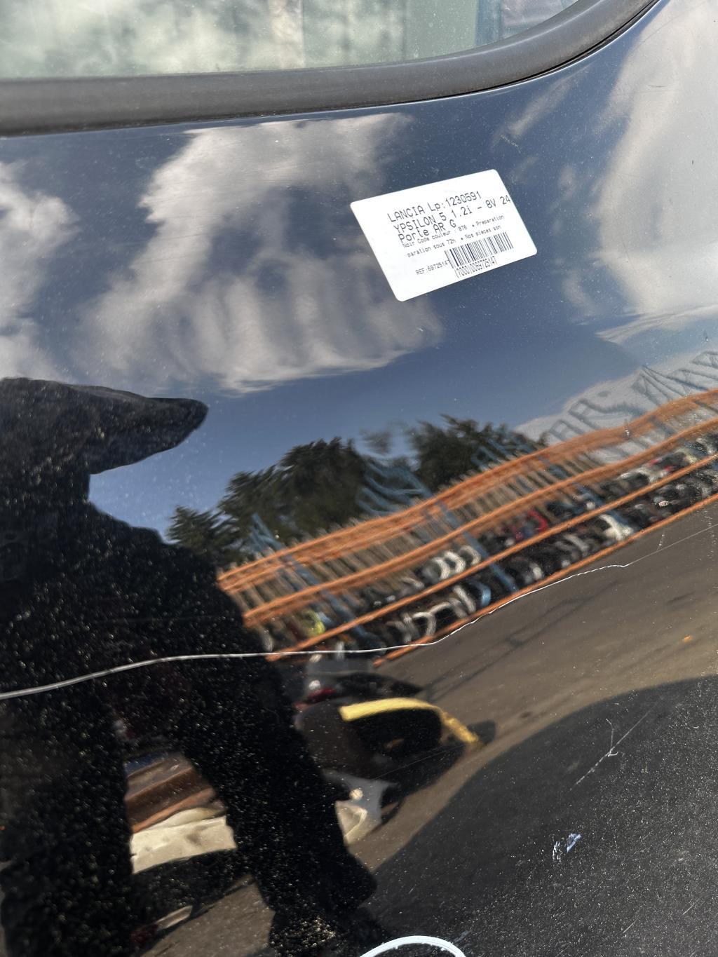 Portiera posteriore sinistra LANCIA YPSILON 5 Gasolina - 1