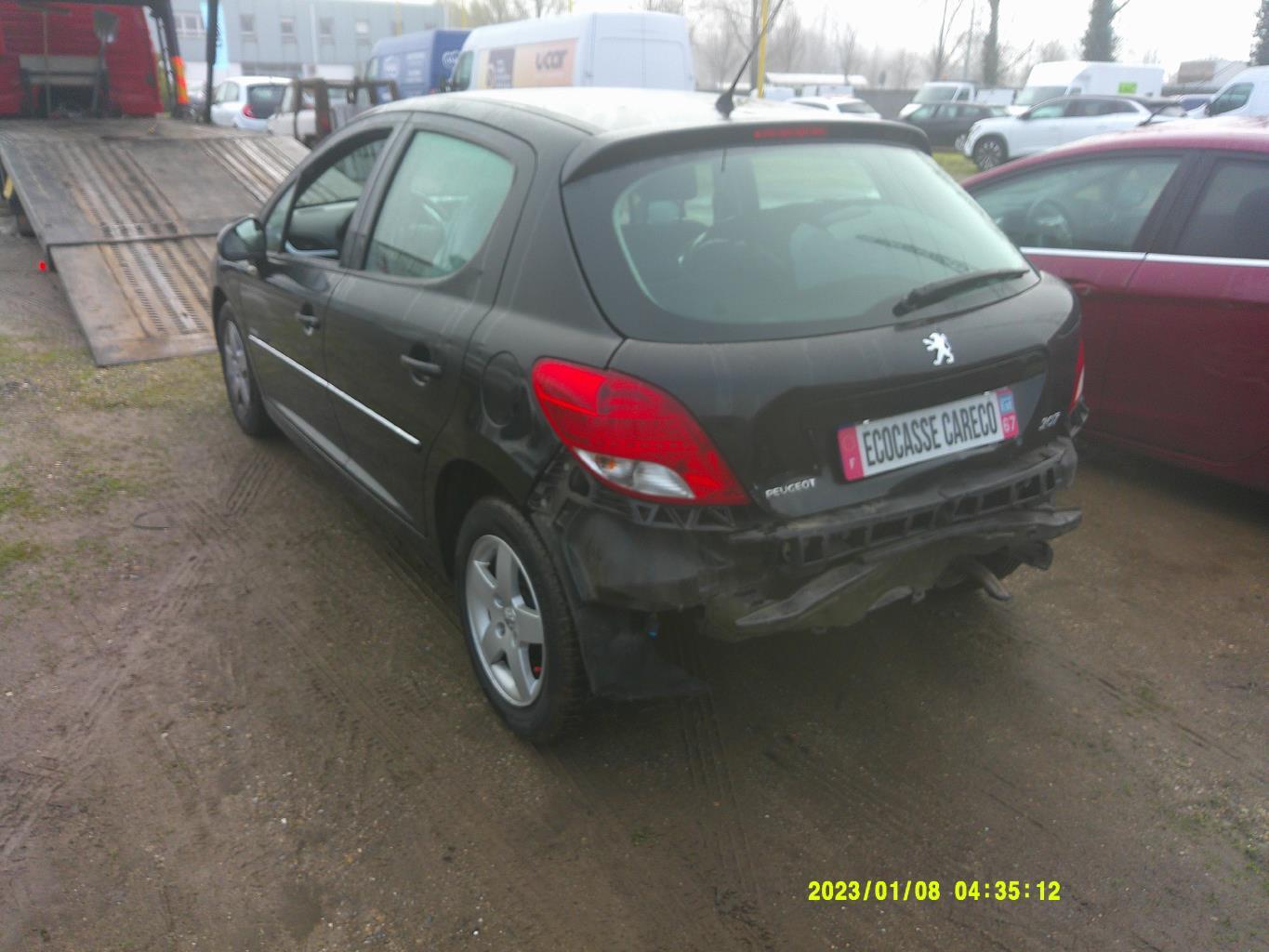 Portiera anteriore sinistra PEUGEOT 207 PHASE 2 Gasolina - 1