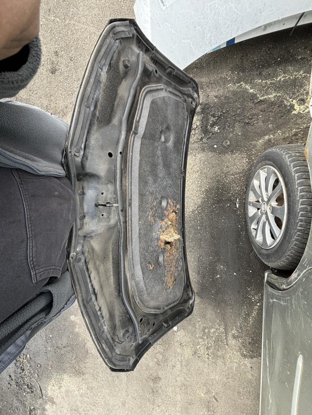 Capot MAZDA CX7 PHASE 2 Diesel - 1