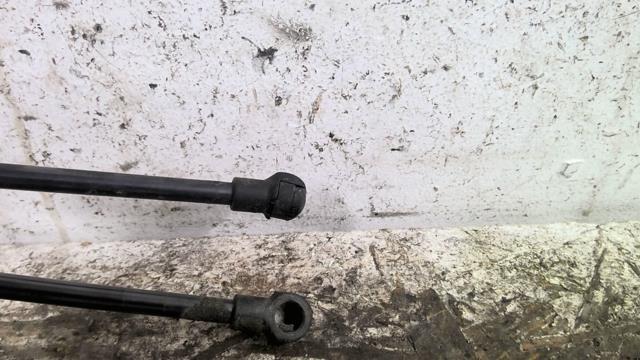 Verin de coffre CITROEN C3 3 PHASE 1 Diesel - 1