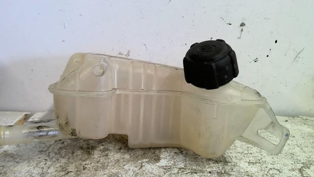Vase d'expansion RENAULT GRAND SCENIC 2 PHASE 2 Diesel - 1