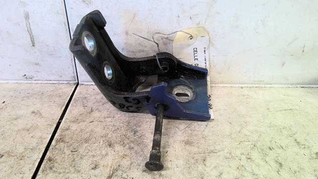Charniere de porte avant gauche CITROEN C3 1 PHASE 1 Diesel - 1