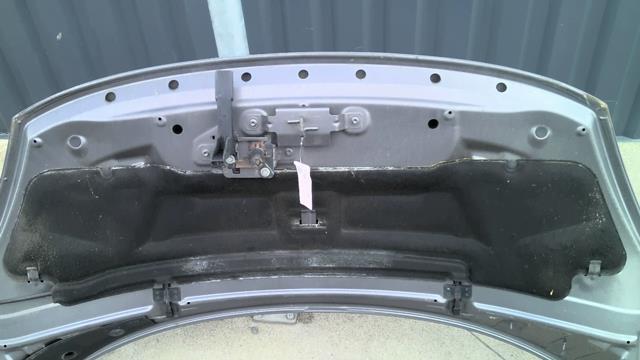 Capot RENAULT SCENIC 3 PHASE 1 Diesel - 1
