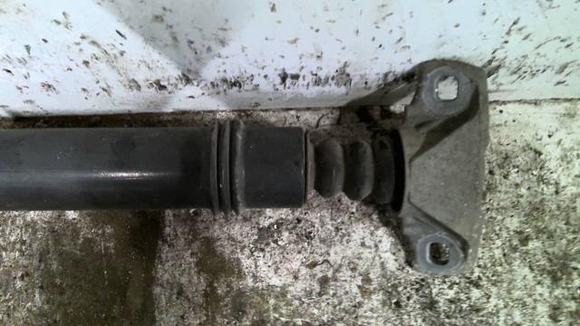 Amortisseur arriere gauche CITROEN C4 2 PHASE 1 Diesel - 1