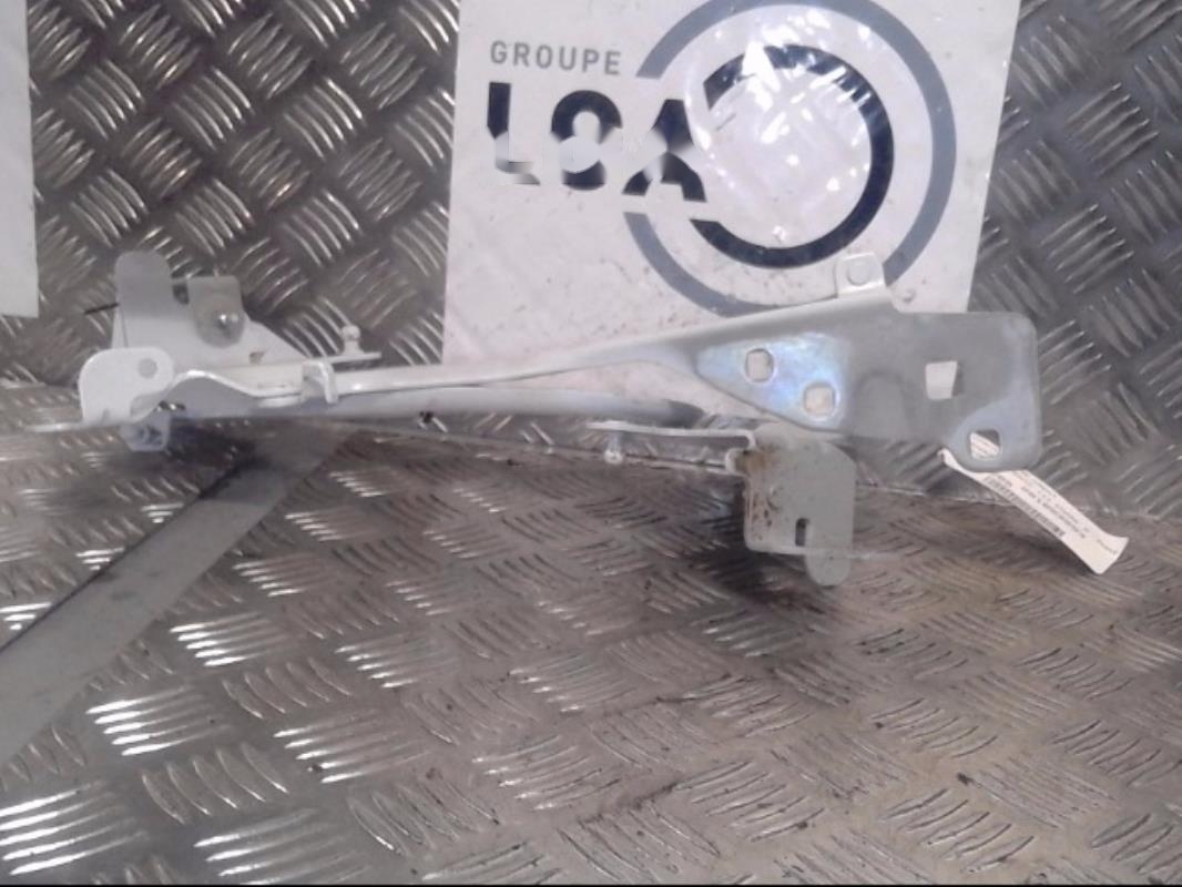 Charniere de capot RENAULT SCENIC 3 PHASE 2 Diesel - 1