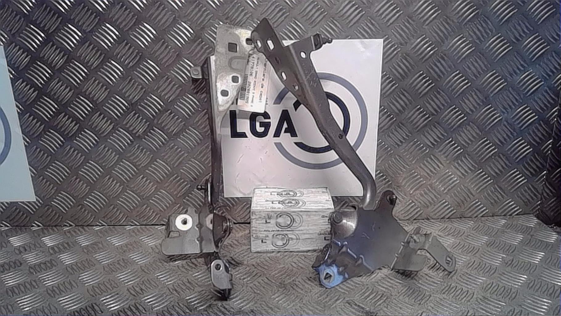 Charniere de capot RENAULT GRAND SCENIC 3 PHASE 3 Diesel - 1