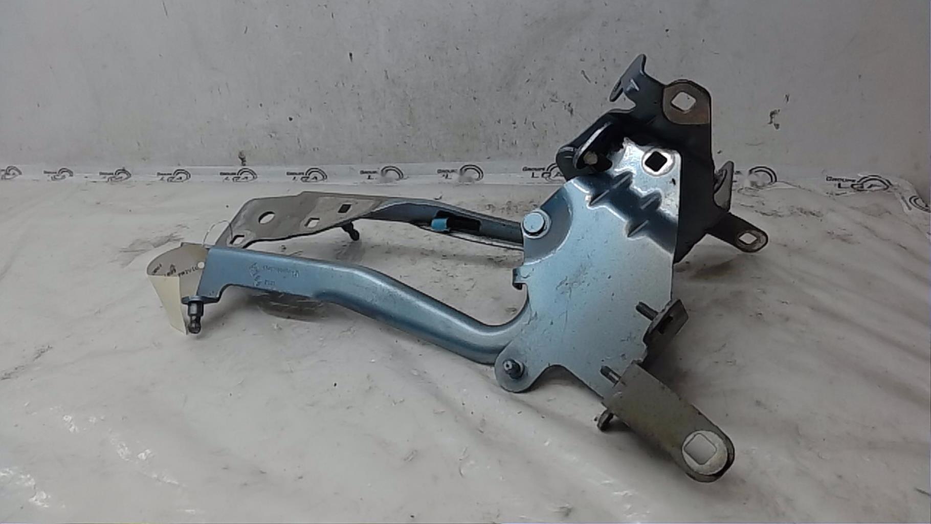 Charniere de capot RENAULT SCENIC 3 PHASE 1 Diesel - 1