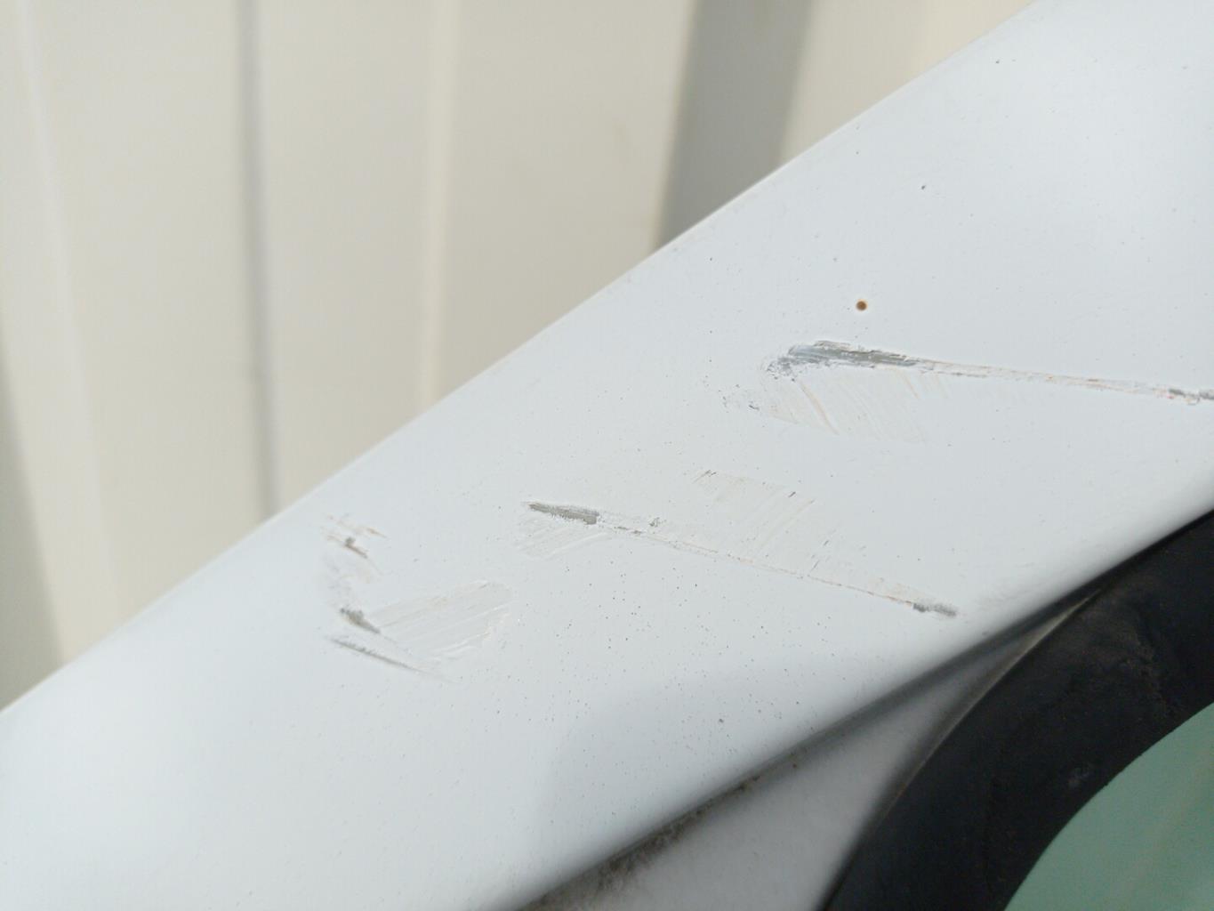 Portiera anteriore sinistra RENAULT KANGOO 1 PHASE 1 Diésel - 1