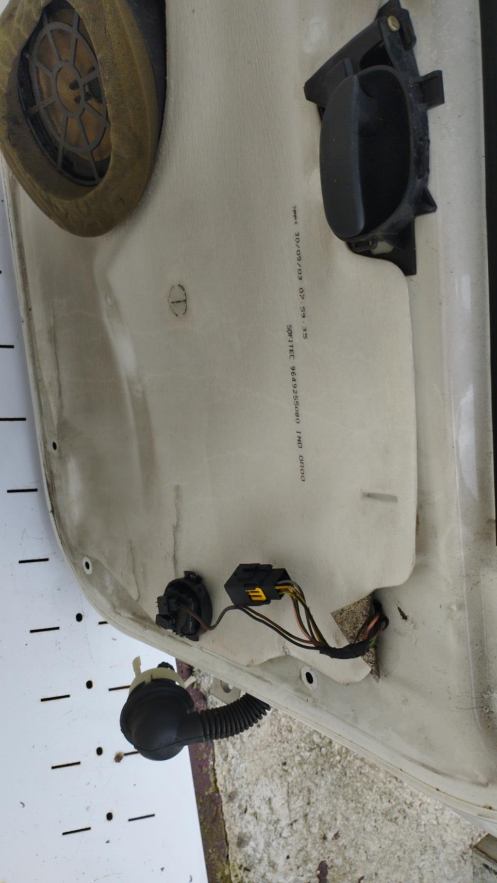 Portiera anteriore sinistra PEUGEOT 206 PHASE 1 Diésel - 1