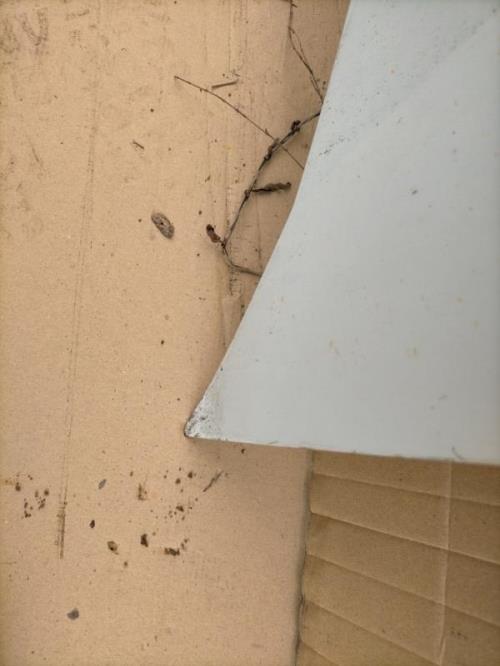 Photo de la pièce