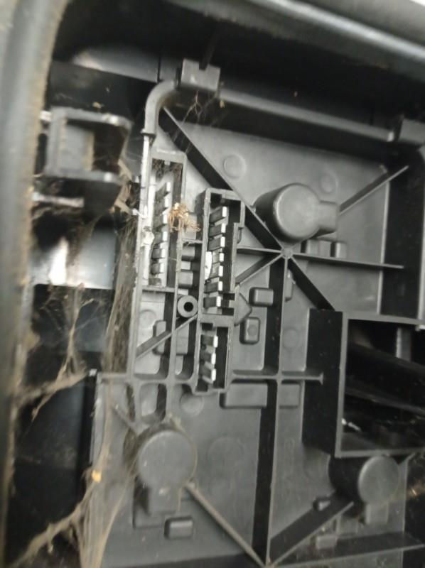 Fanale posteriore principale sinistro (luci) CITROEN BX Diésel - 1
