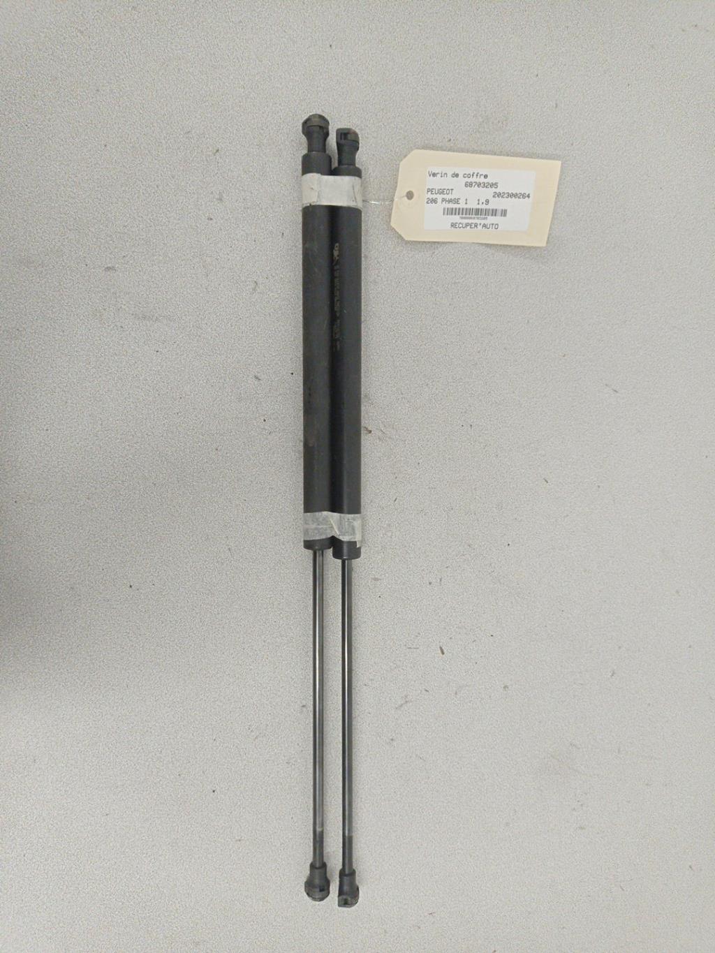 Molla a gas bagagliaio PEUGEOT 206 PHASE 1 Diésel - 1