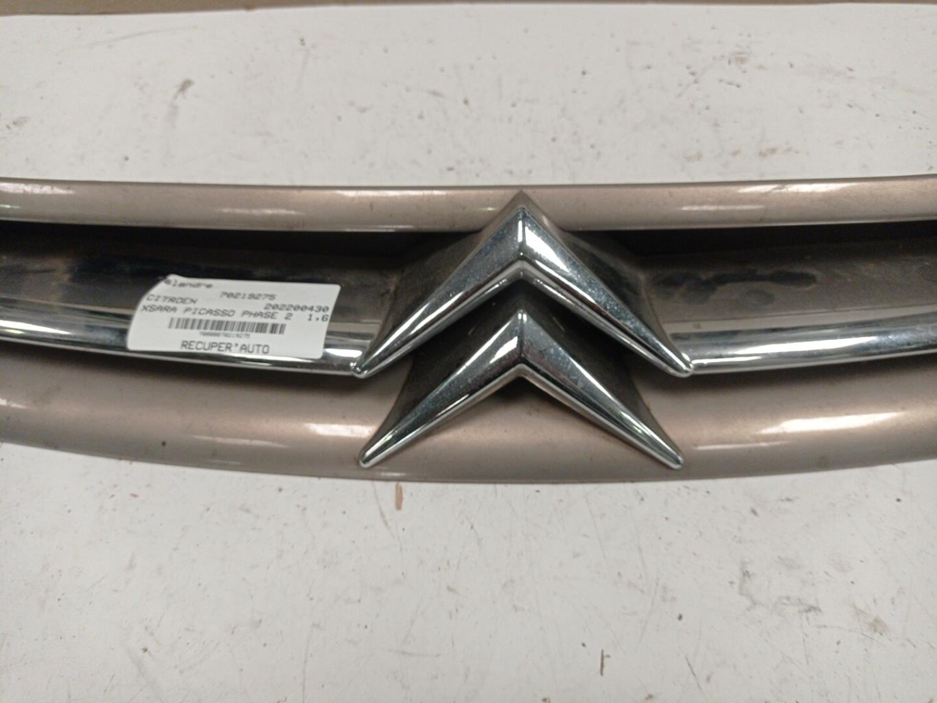 Calandra CITROEN XSARA PICASSO PHASE 2 Diésel - 1