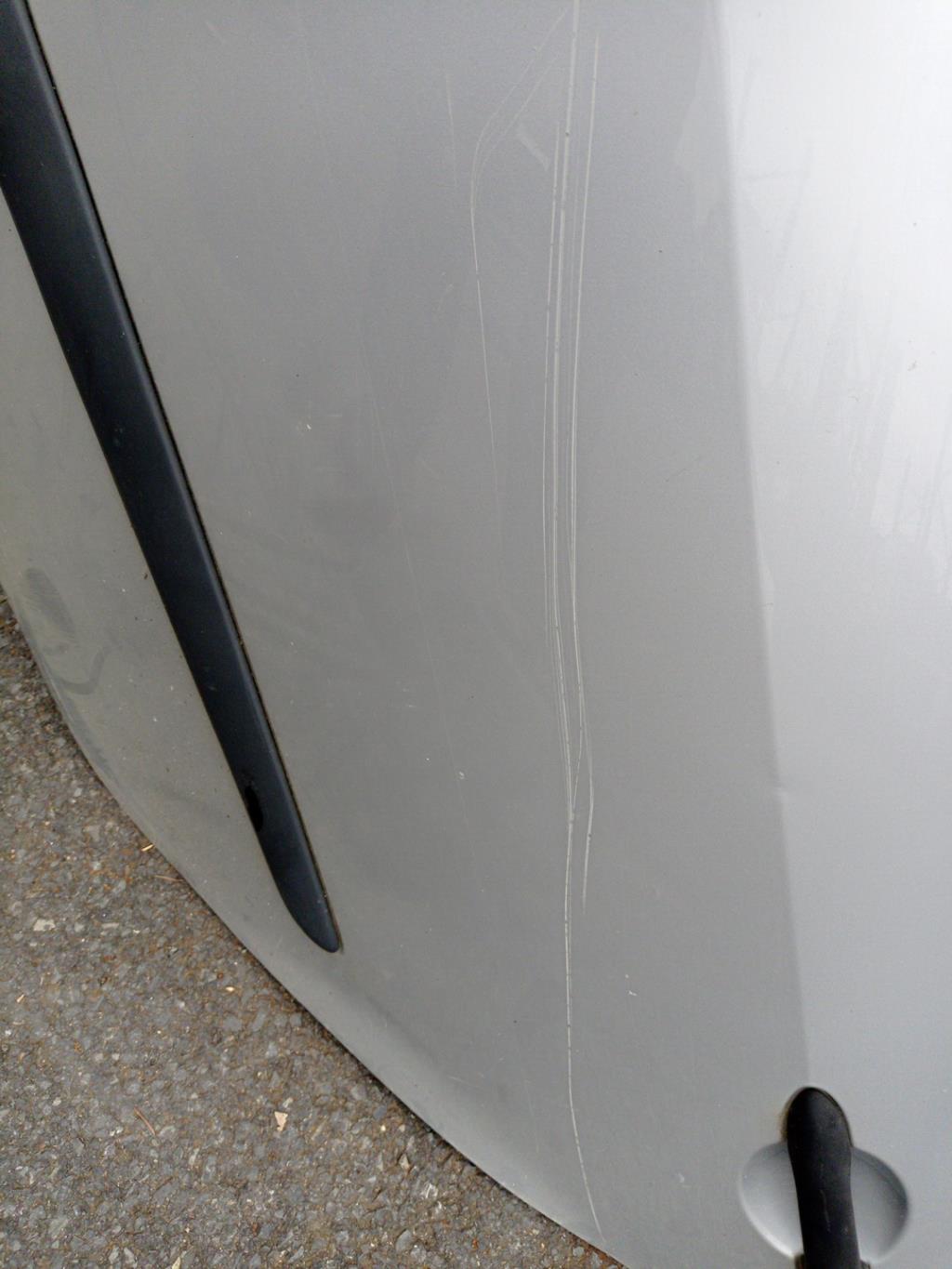Puerta trasera izquierda RENAULT MODUS PHASE 1 Diésel - 1
