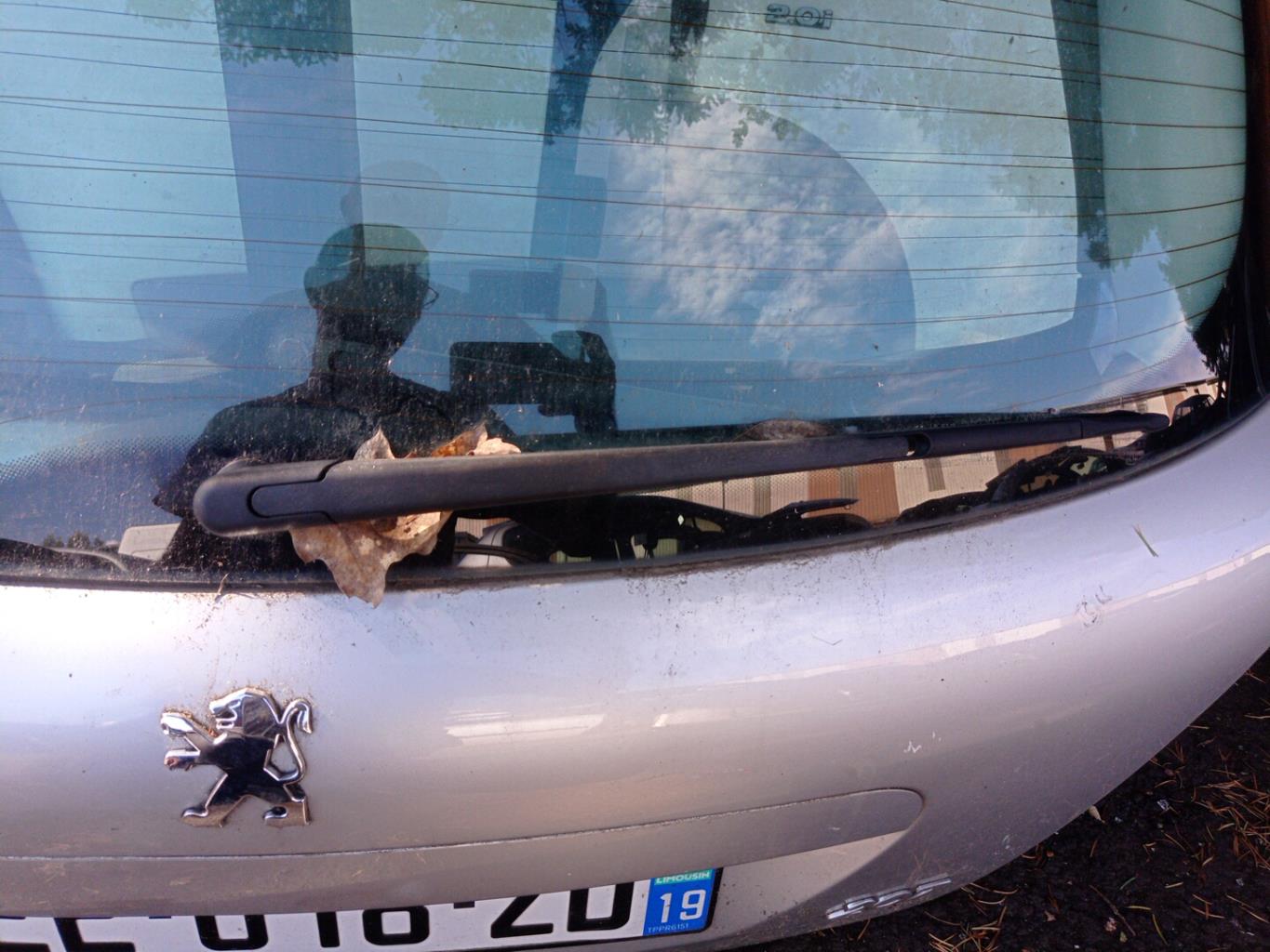 Portabagagli/Portellone posteriore PEUGEOT 207 PHASE 1 Diésel - 1