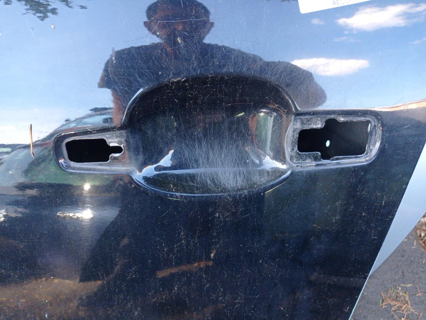 Portiera anteriore sinistra CITROEN C4 PICASSO 1 Diésel - 1