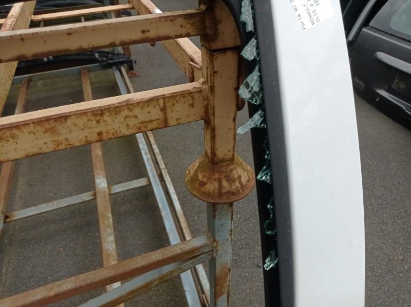 Portiera anteriore sinistra RENAULT CLIO 3 PHASE 2 Diésel - 1
