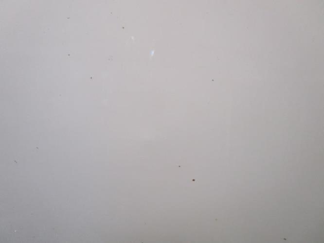 Photo de la pièce