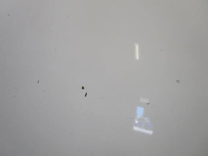 Photo de la pièce