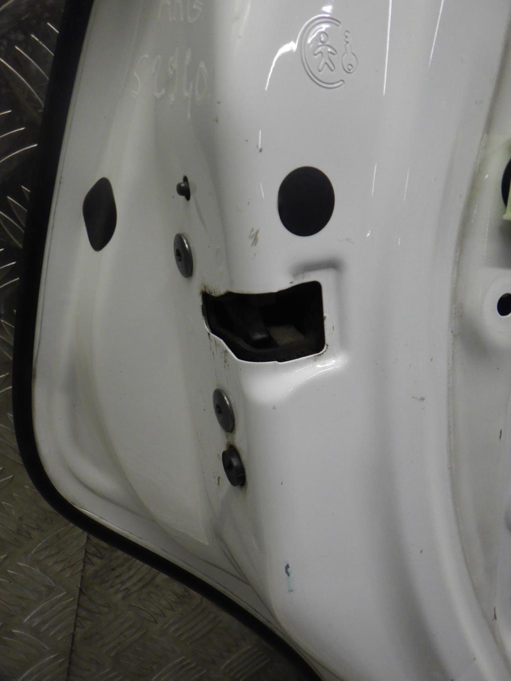 Portiera posteriore sinistra CITROEN C3 2 PHASE 2 Gasolina - 1
