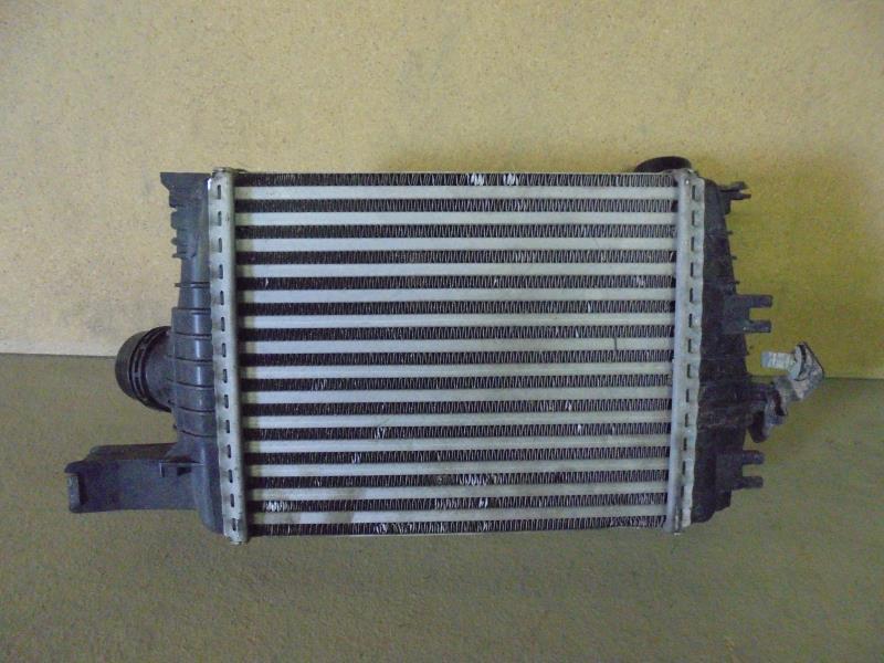 Echangeur air (Intercooler) RENAULT CLIO 4 PHASE 1 Diesel - 1
