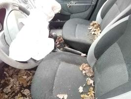 Photo de la pièce