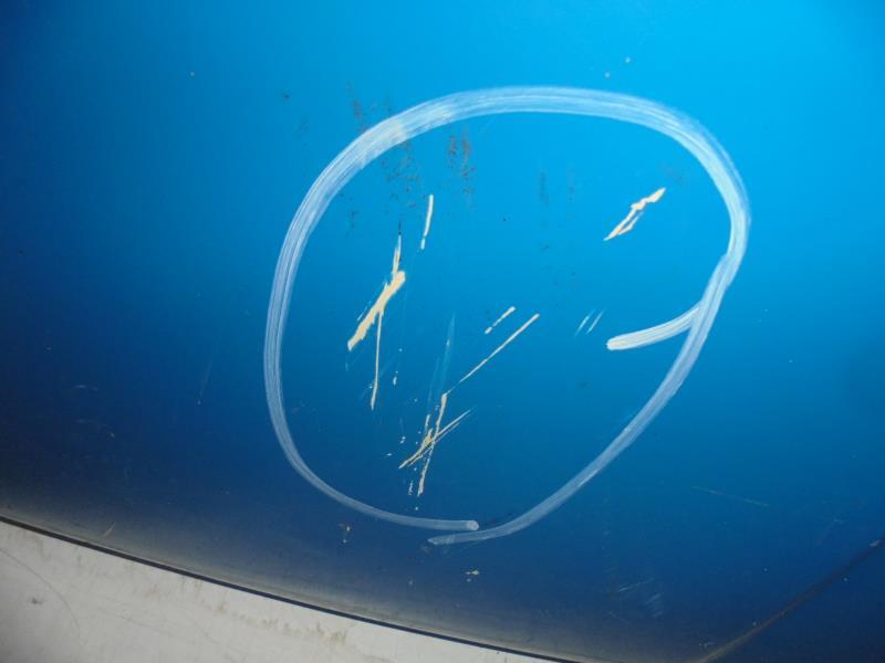Capot RENAULT TRAFIC 1 PHASE 2  - 1