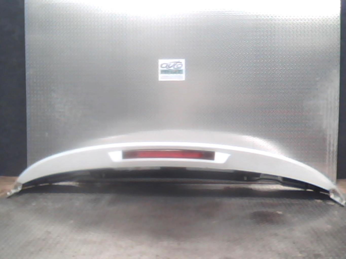 Becquet RENAULT CLIO 4 PHASE 1 Diesel - 1