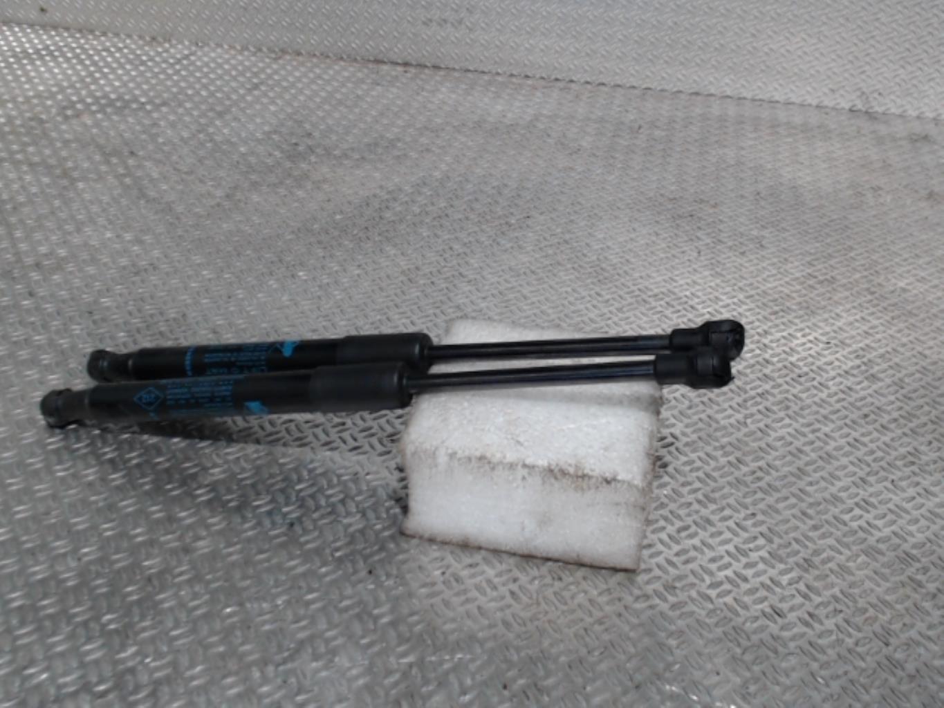 Verin de capot RENAULT SCENIC 4 Essence - 1